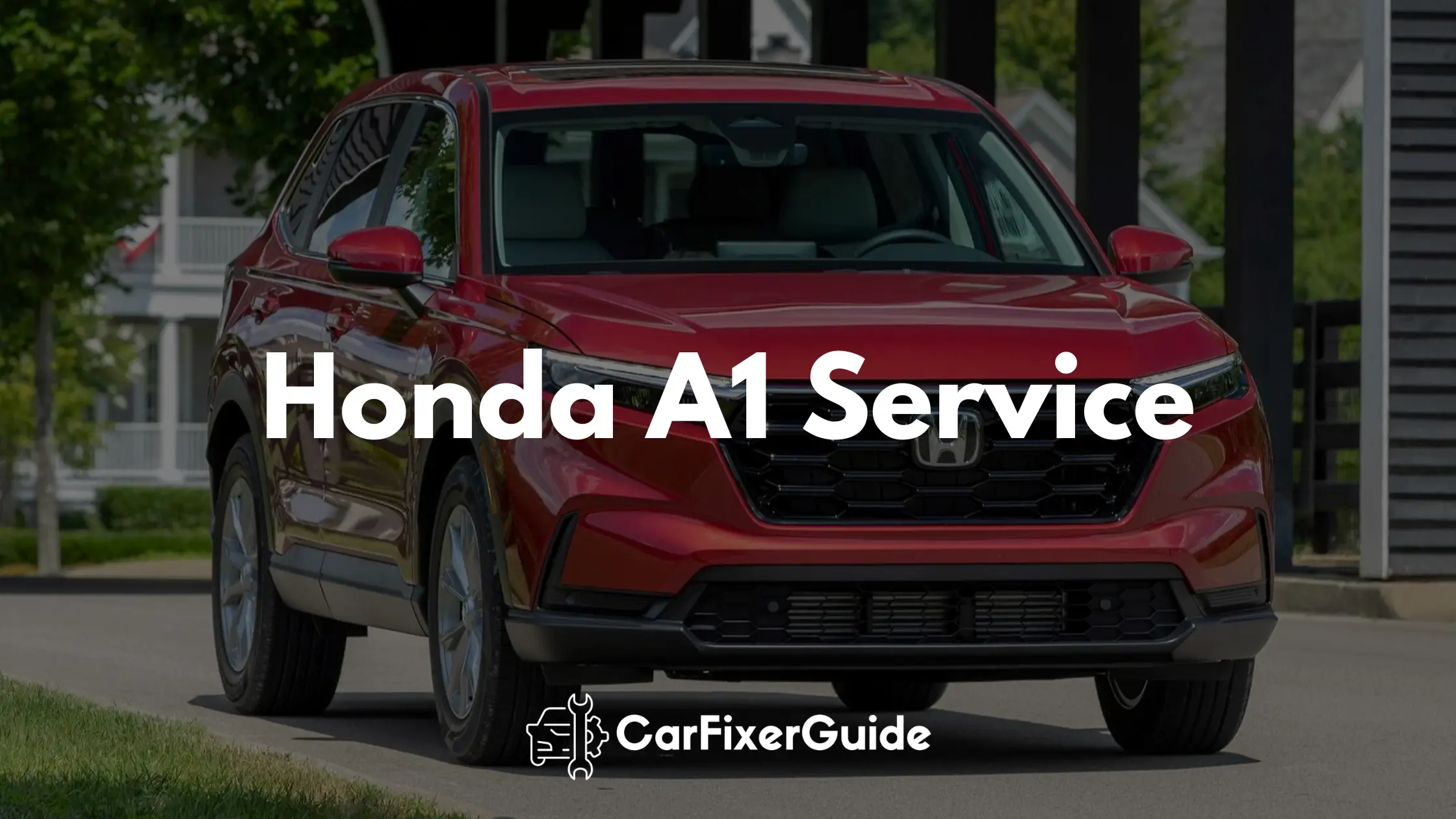 Honda A1 Service